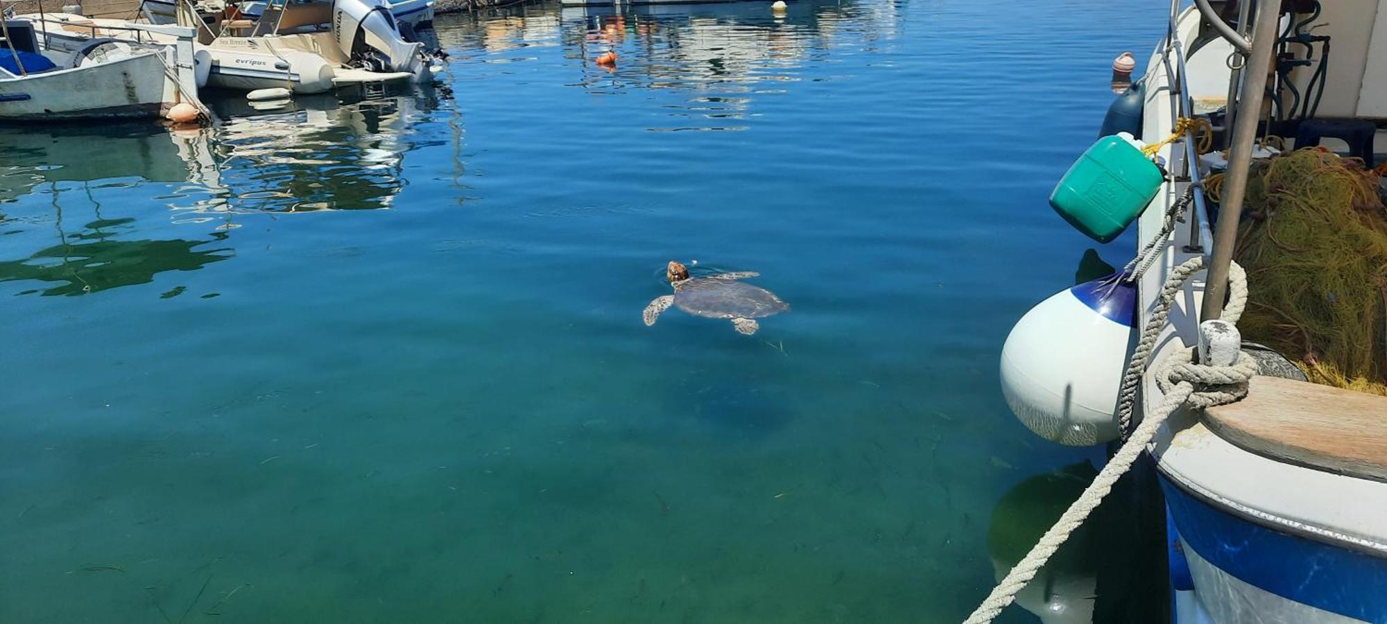 Poseidon Suites Hotel Stavros  Bagian luar foto